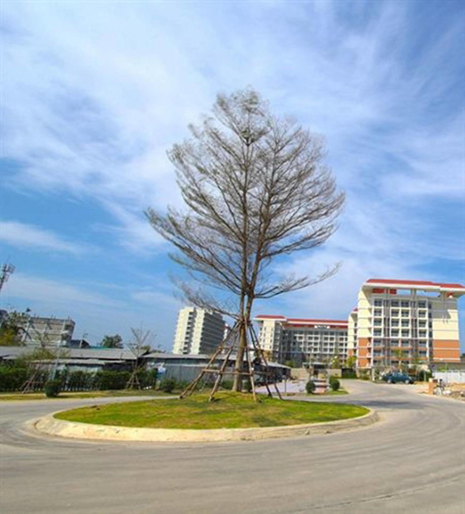 Grow Residences Bangkok Zewnętrze zdjęcie